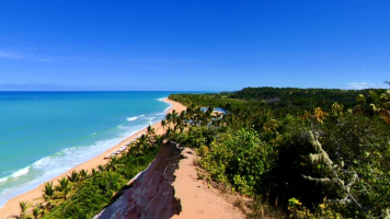 O que já existia no Brasil antes de 1500? Milho, cavalo, café? Faça quiz e 'descubra' 